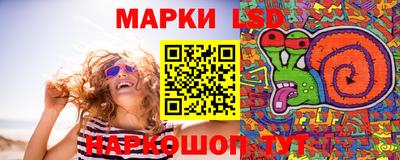 стаф Сланцы