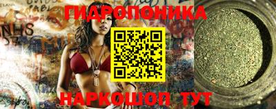 стаф Сланцы