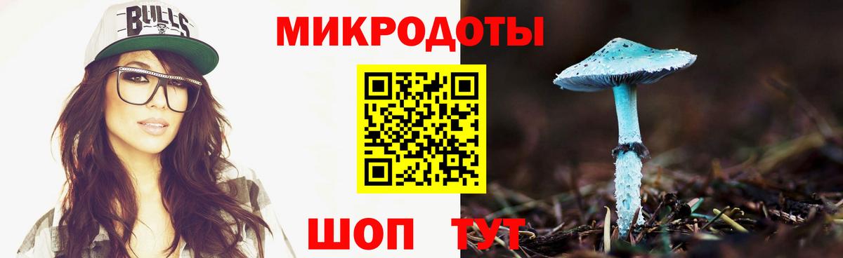 Ногинск  Галлюциногенные грибы GOLDEN TEACHER  цена наркотик  Вход с VPN  Галлюциногенные грибы Psilocybine cubensis 